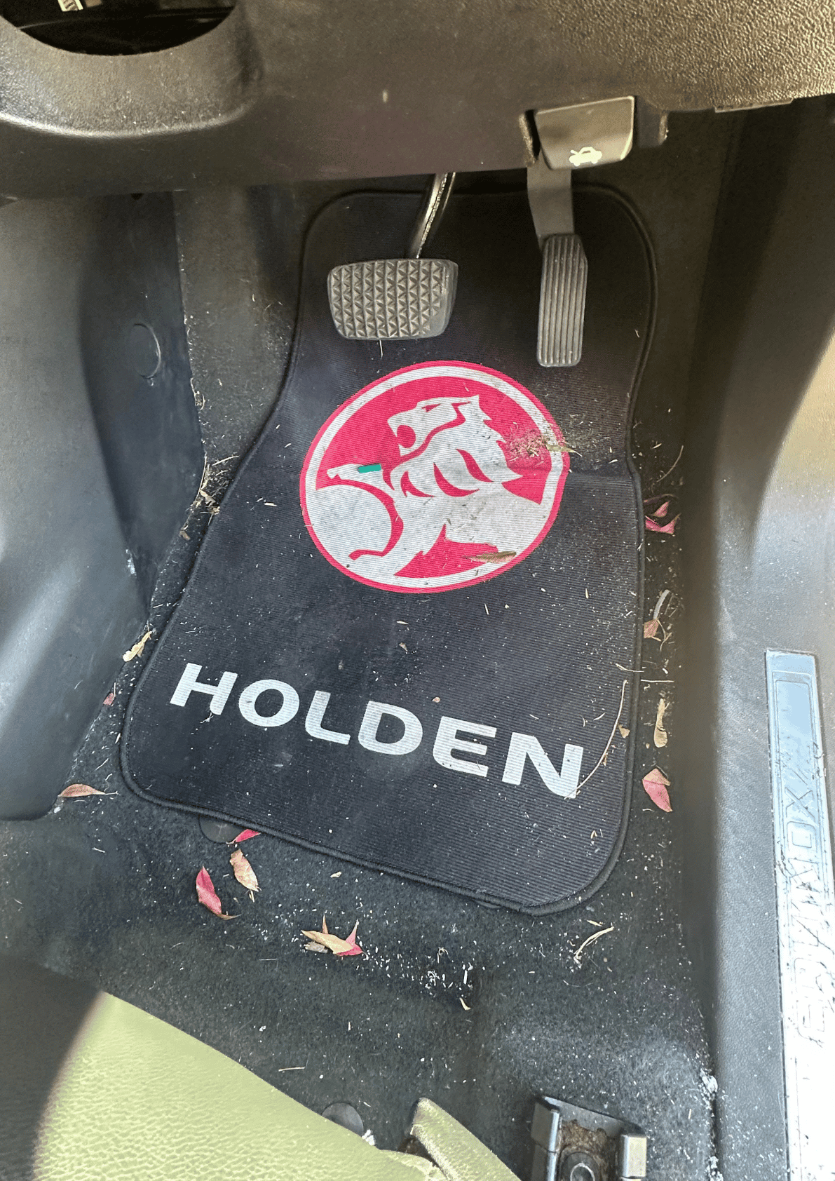 After — Holden Wagon